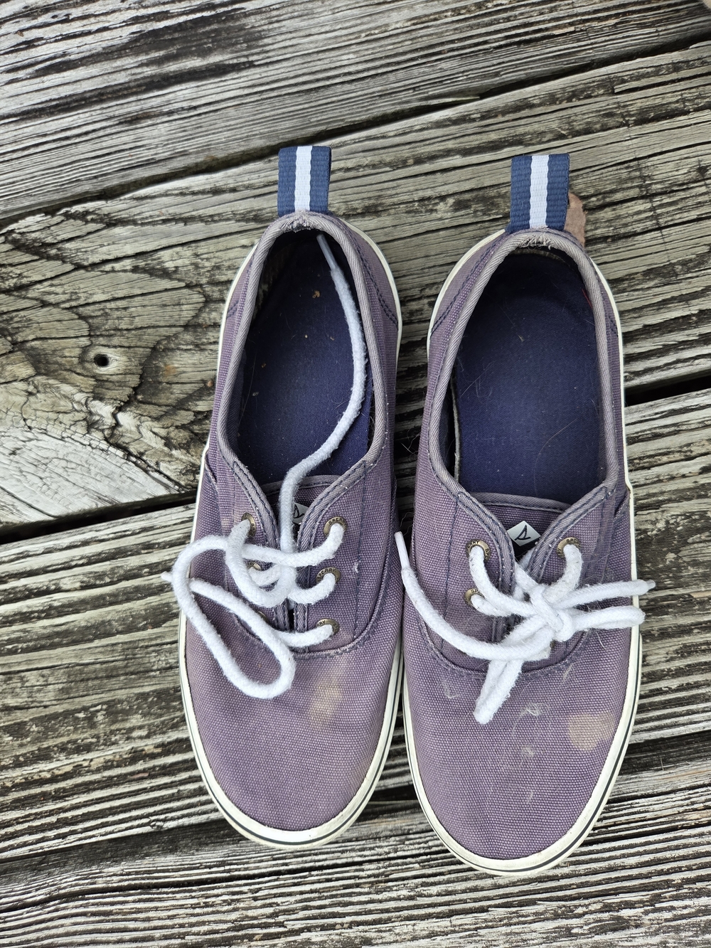 Sperry Crest CVO Canvas Sneakers